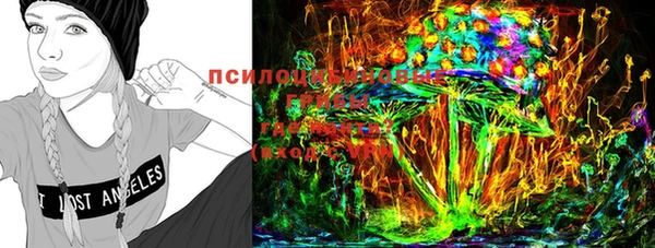 мяу мяу мука Алексеевка